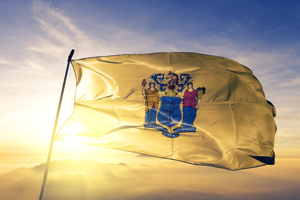 The New jersey state flag flying in front of a sunny sky.