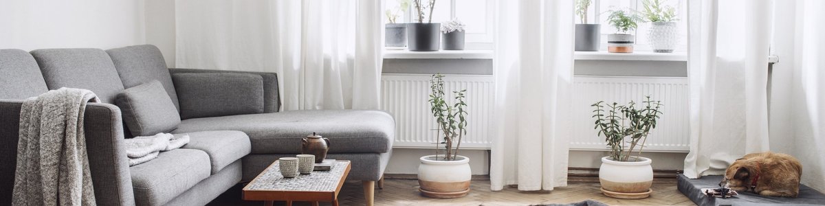 An apartment living room with dogs napping.