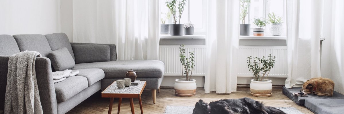 An apartment living room with dogs napping.