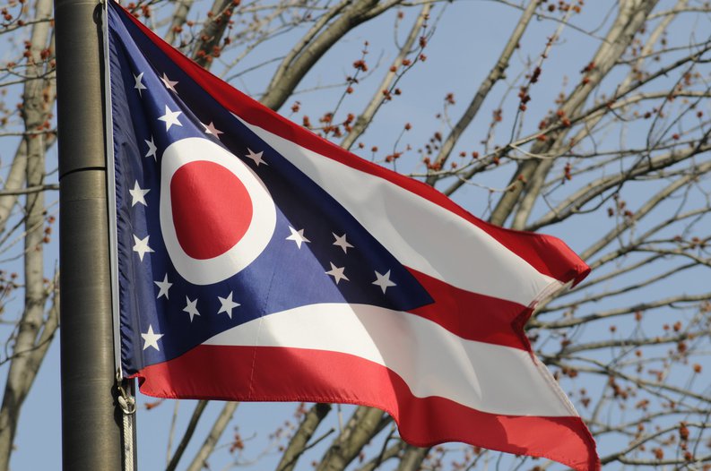 The Ohio state flag flying in front of tree branches.