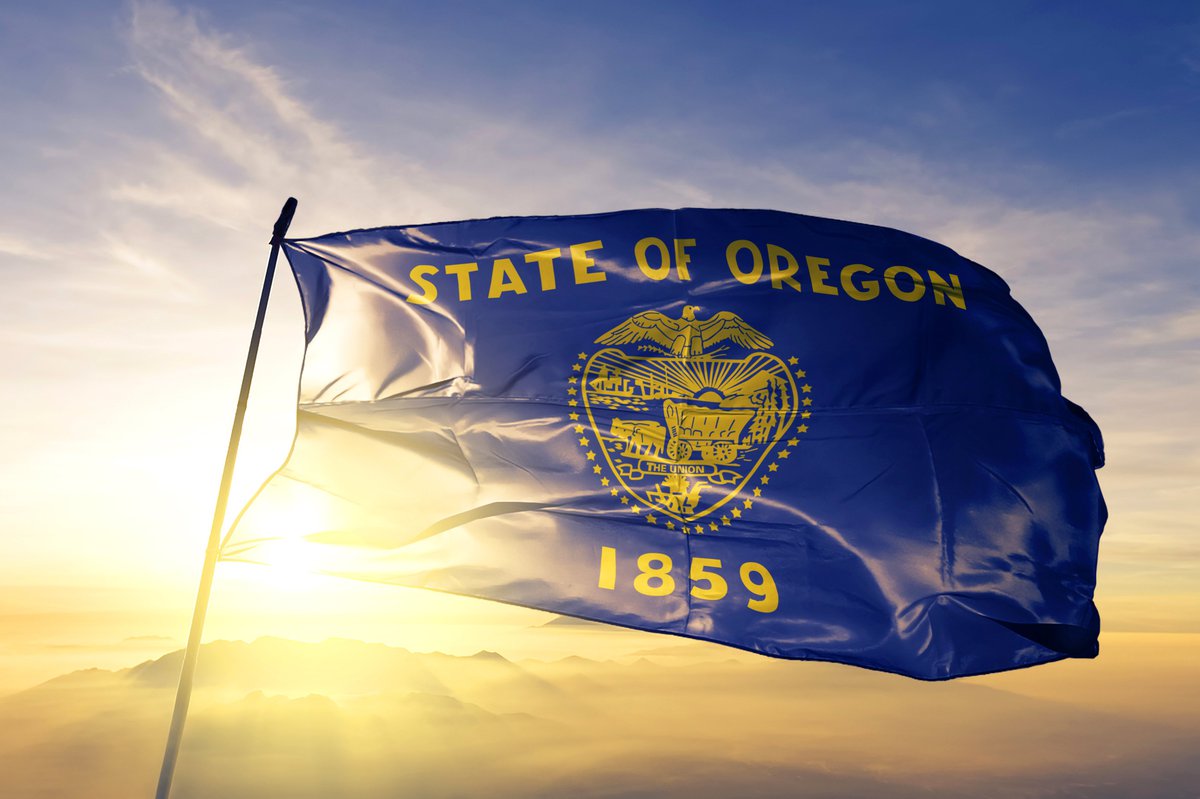 The state flag of Oregon flying in front of a sunny sky.
