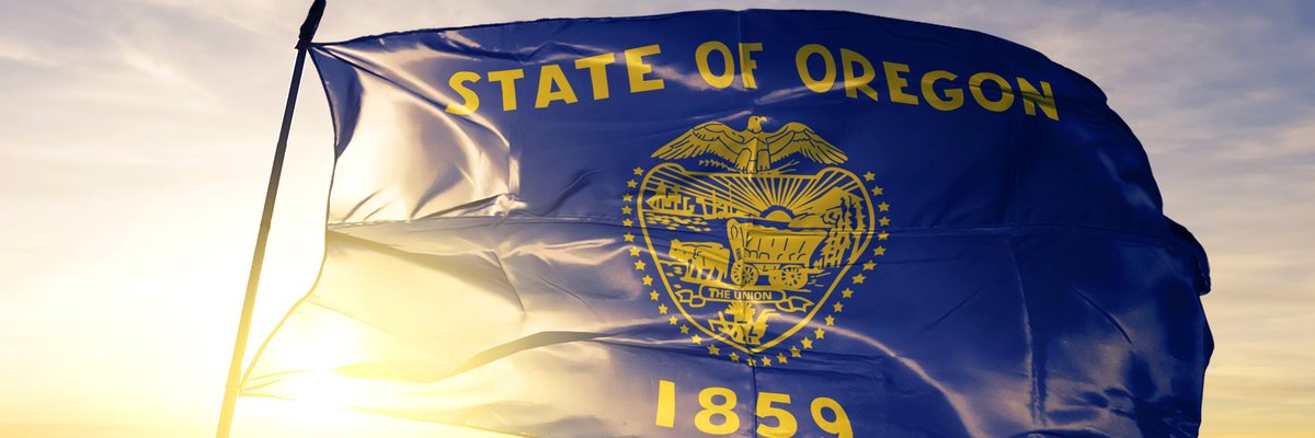 The state flag of Oregon flying in front of a sunny sky.