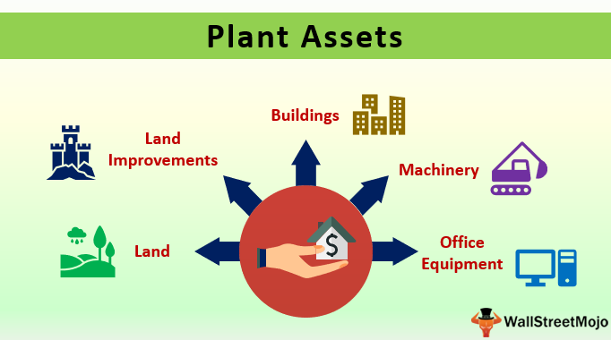 Diagram with plant asset types