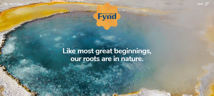 An image of a Yellowstone National Park thermal feature from Nature's Fynd home page.