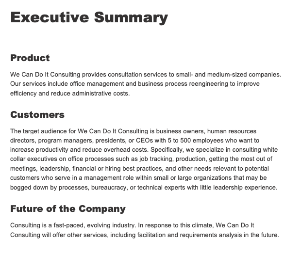 business overview example in business plan