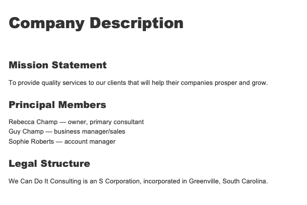 company description business plan example