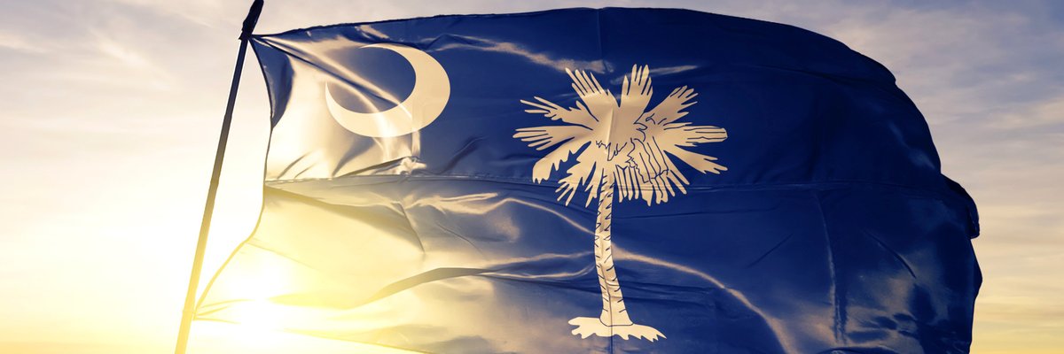 The state flag of South Carolina flying in front of a sunny sky.