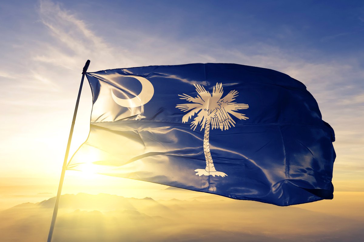 The state flag of South Carolina flying in front of a sunny sky.