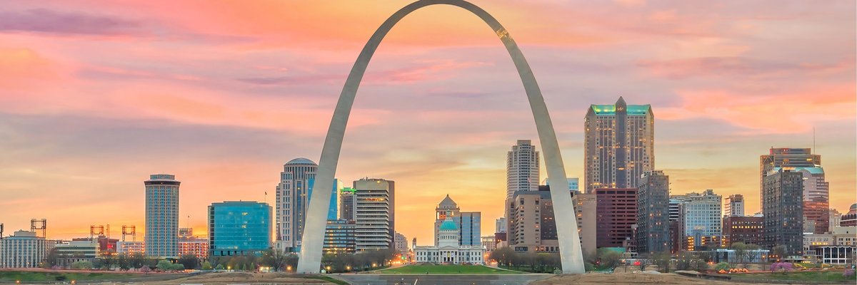 The St. Louis arch and city skyline.