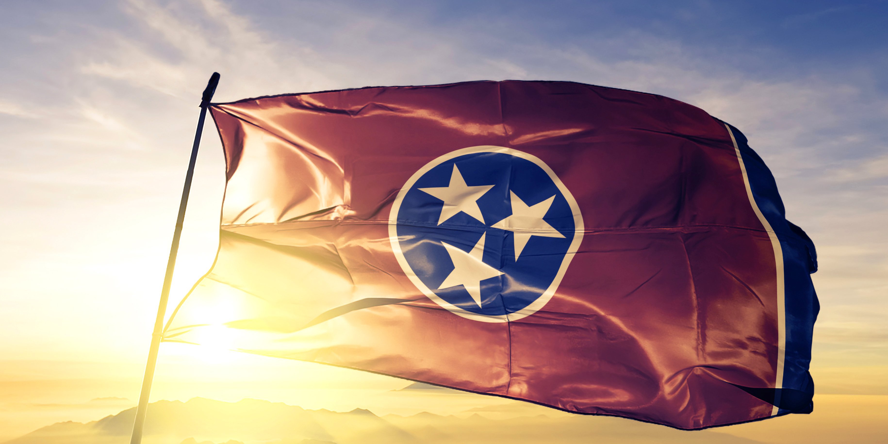 appily for unemployment tennessee appily for unemployment tennessee