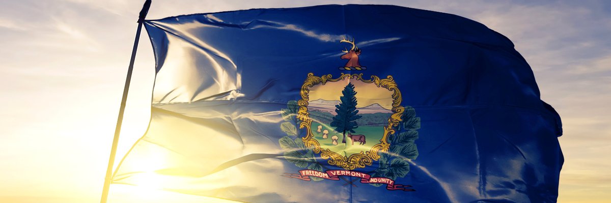 The Vermont state flag flying in front of a sunny sky.