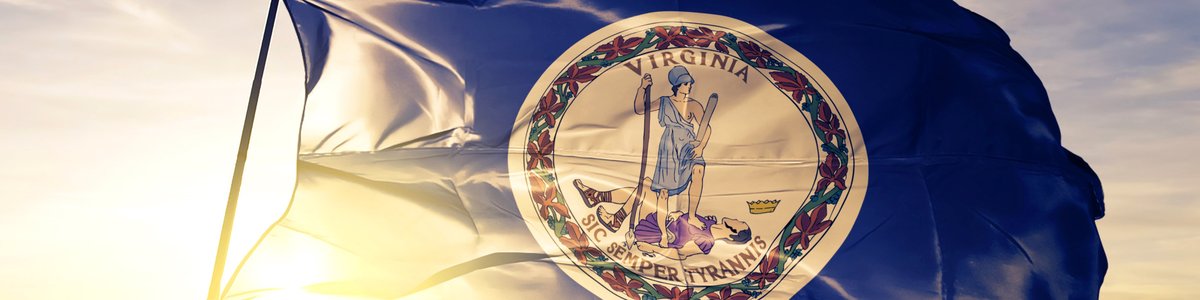The Virginia state flag flying in front of a sunny sky.