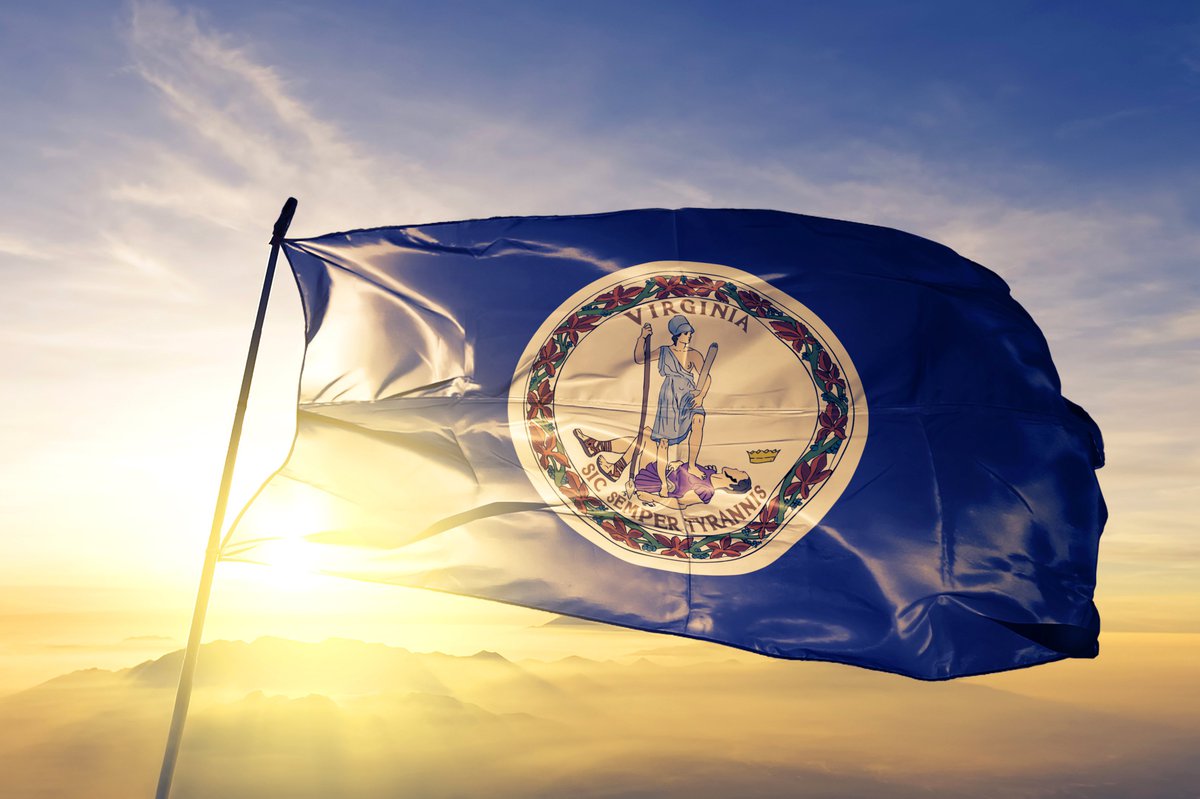 The Virginia state flag flying in front of a sunny sky.
