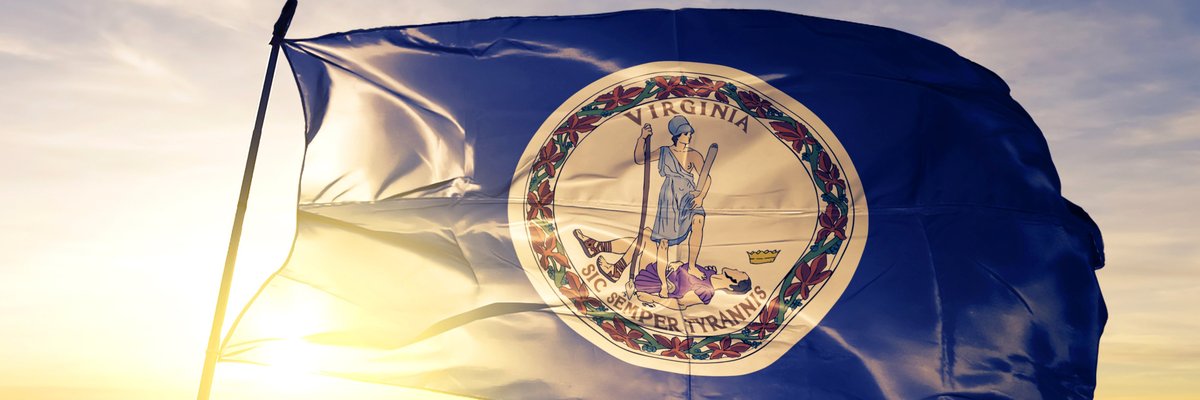 The Virginia state flag flying in front of a sunny sky.