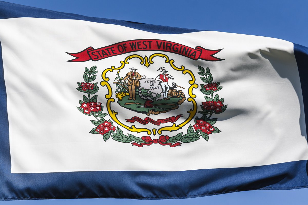 The West Virginia state flag flying in front of a blue sky.