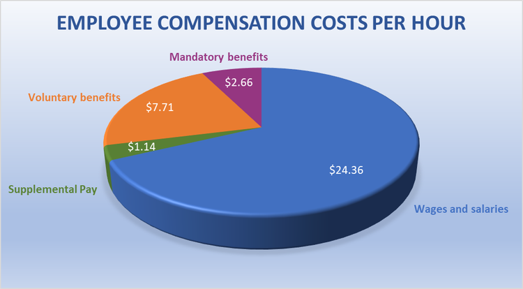 A pie chart of compensation broken down by wages and benefits.