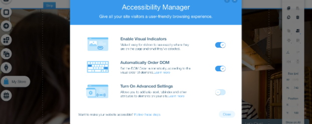 Wix Accessibility Manager pop up