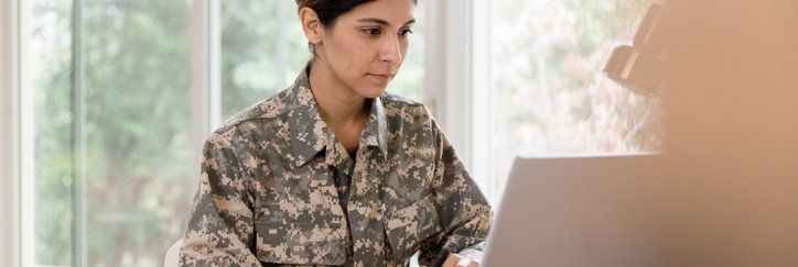 Woman Vet Looking At Laptop