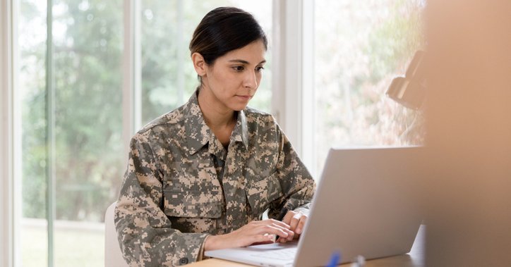 Woman Vet Looking At Laptop