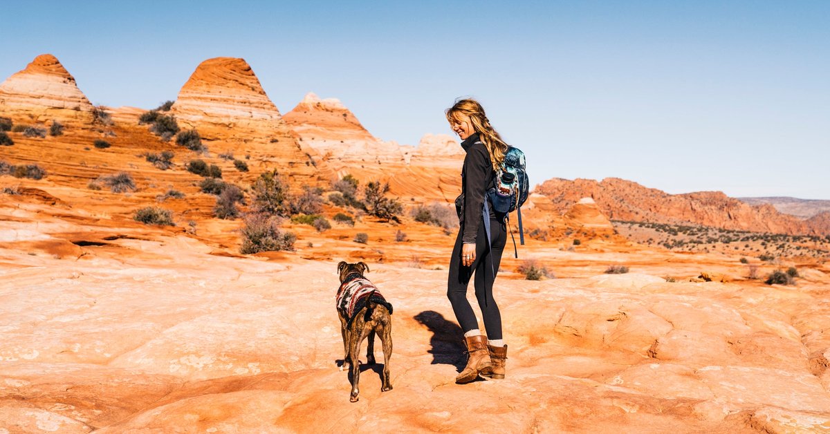 Woman hiking with dog in a southwest landscape.