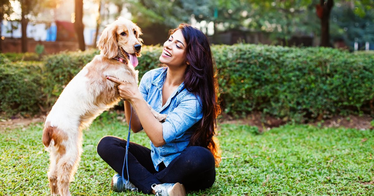 A woman sitting in a sunny park with a dog.