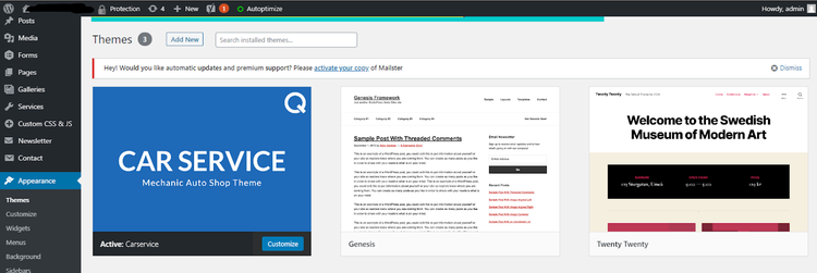 WordPress screen showing theme previews with option to activate a new theme.