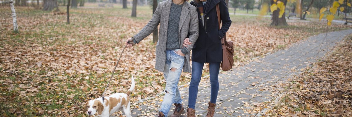 A young couple walking their dog through a park.