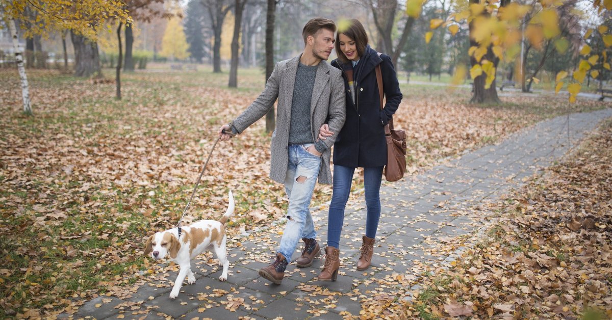 A young couple walking their dog through a park.