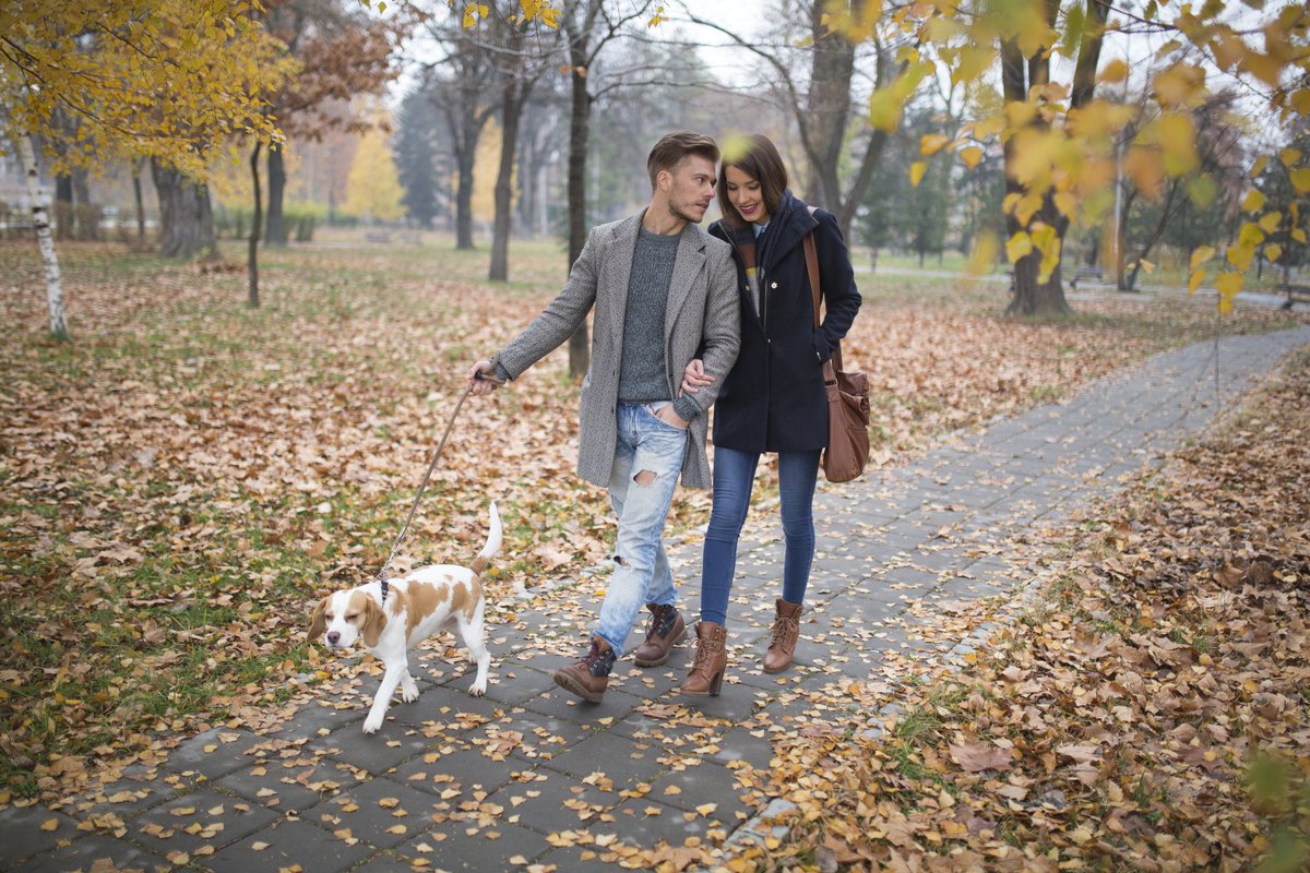 A young couple walking their dog through a park.