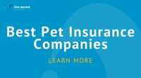 Best Pet Insurance Companies in May 2022