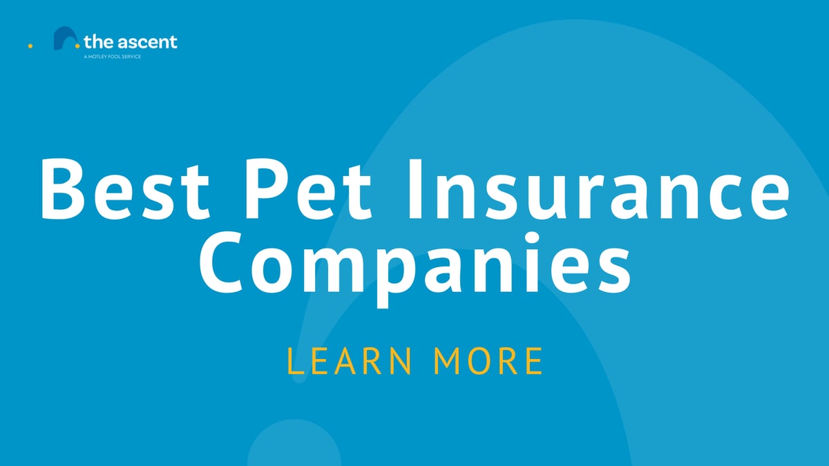 Best Pet Insurance Companies in October 2022 | The Ascent