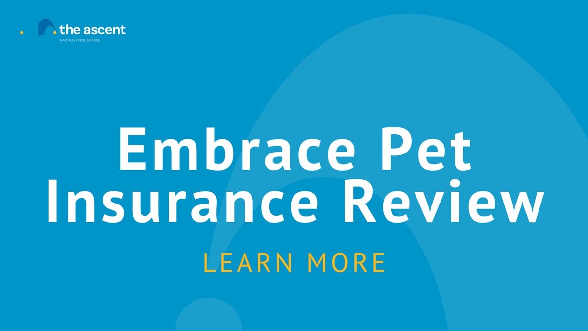 Embrace Pet Insurance Review The Ascent
