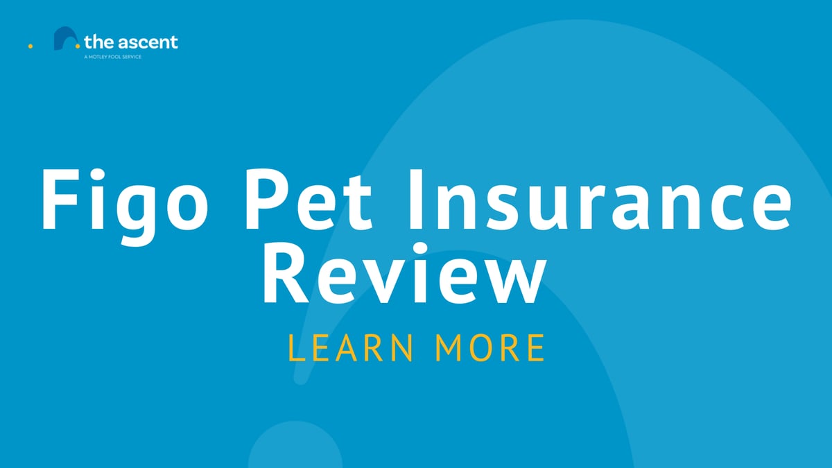 Figo Pet Insurance Review The Ascent