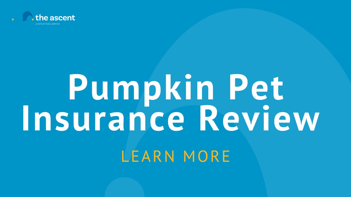 Pumpkin Pet Insurance Review The Ascent