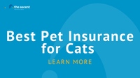 Best Pet Insurance for Cats
