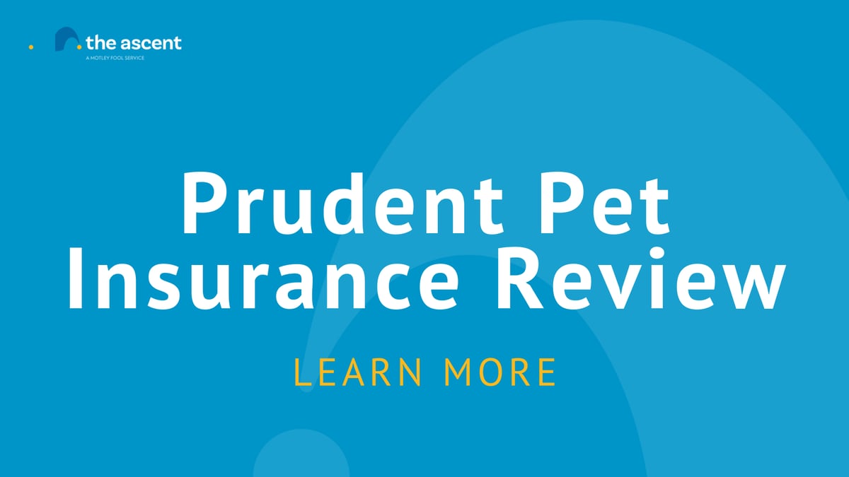 Prudent Pet Insurance Review | The Ascent