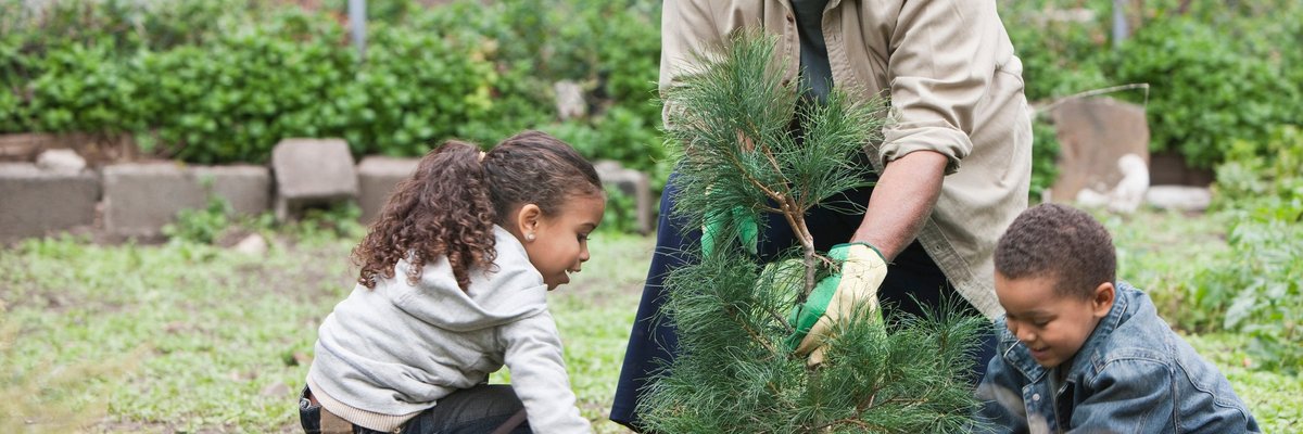 An older adult and two young children planting a small tree.