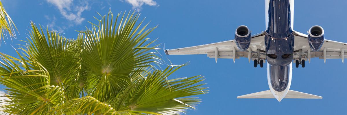 airplane flying over palm trees.
