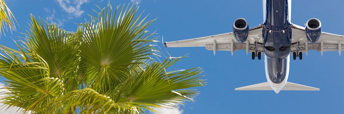 airplane flying over palm trees.