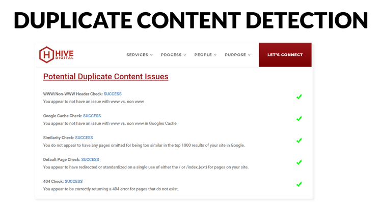 Screenshot from the results page of a duplicate content checker.