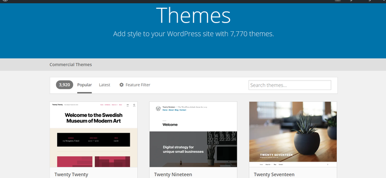 A website displaying WordPress theme options.