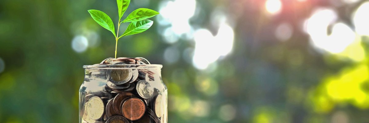 Jar of coins with plant sprouting from the middle.