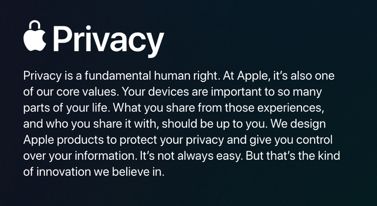Screenshot of Apple’s privacy statement posted directly to their website.