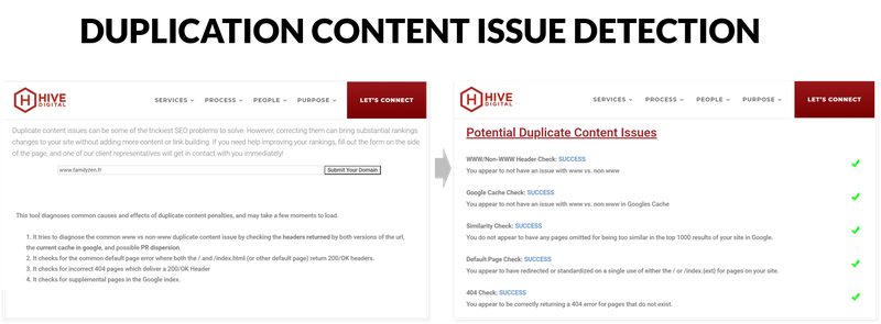 Screenshot of the Hive Duplicate Content Issue Checker.