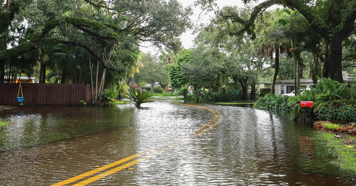 A residential street lined with trees flooded due to rain.