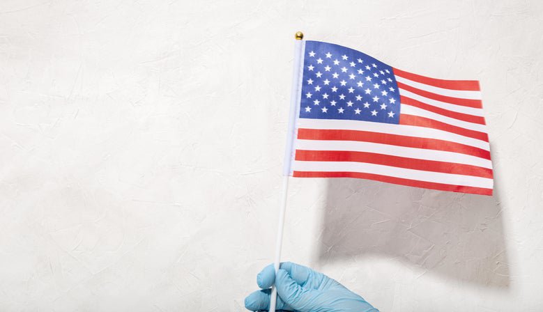 A gloved hand holding a small American flag.