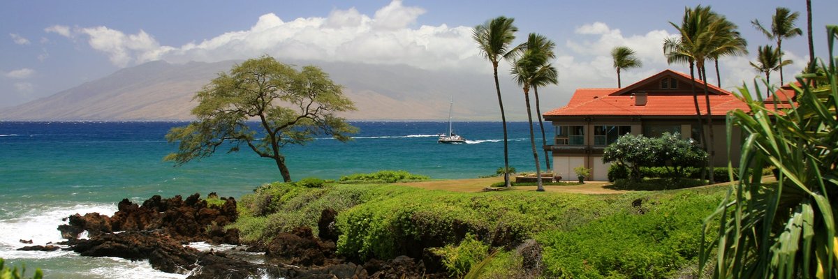 A house and palm trees sitting on a grassy bluff overlooking the ocean.