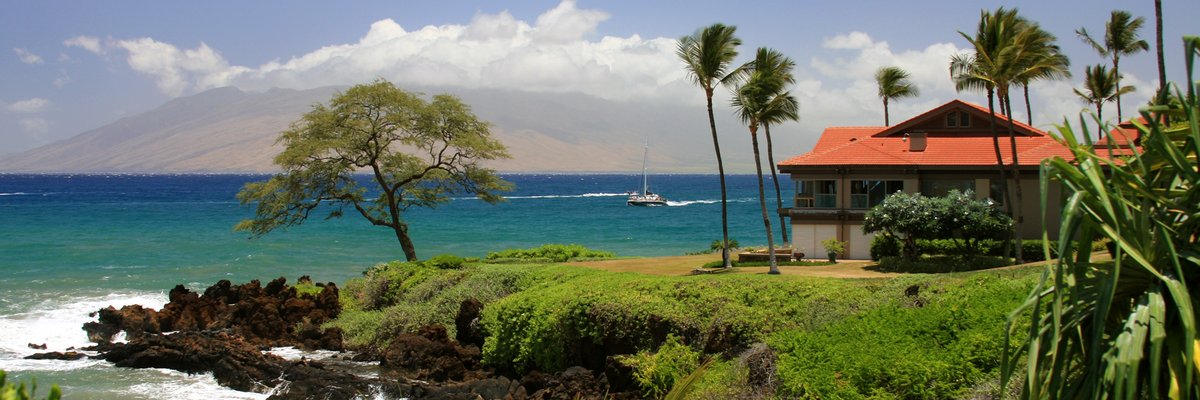 A house and palm trees sitting on a grassy bluff overlooking the ocean.