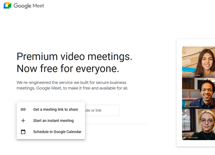 A screenshot from Google Meet.