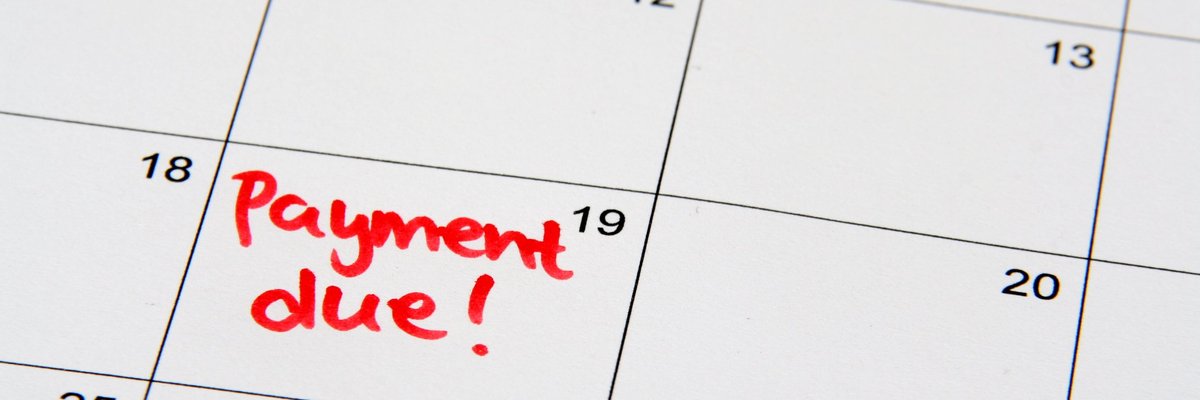 Calendar page that reads payment due on the 19th.